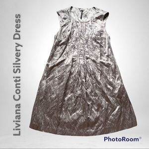 💥💥HOST PIC💥💥🌟🌟Stunning silvery sleeveless dress🌟🌟